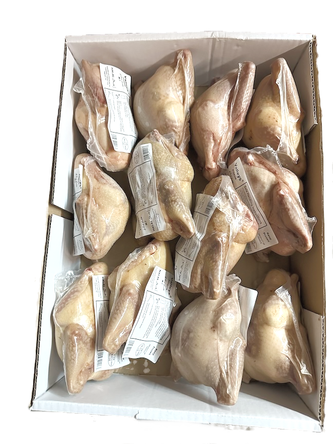FRENCH PIGEON 10 PCS (325-400 GR) image 0