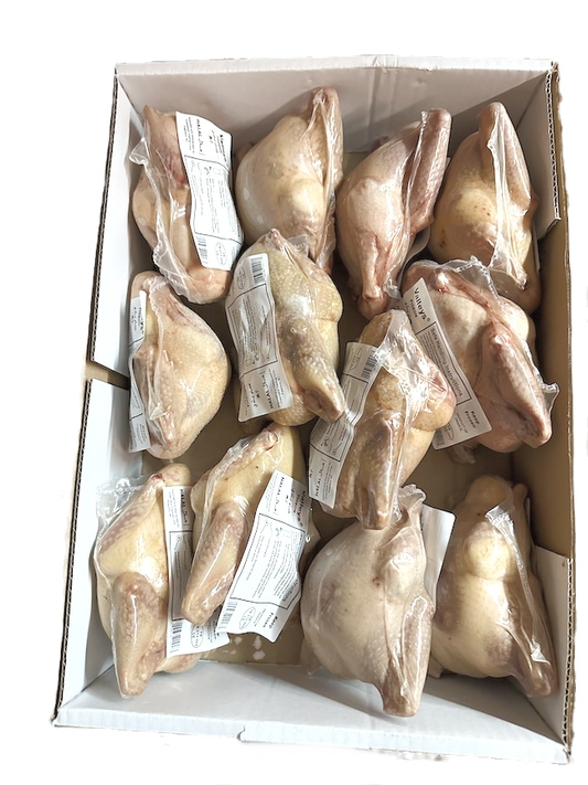 FRENCH PIGEON 10 PCS (325-400 GR) image 0