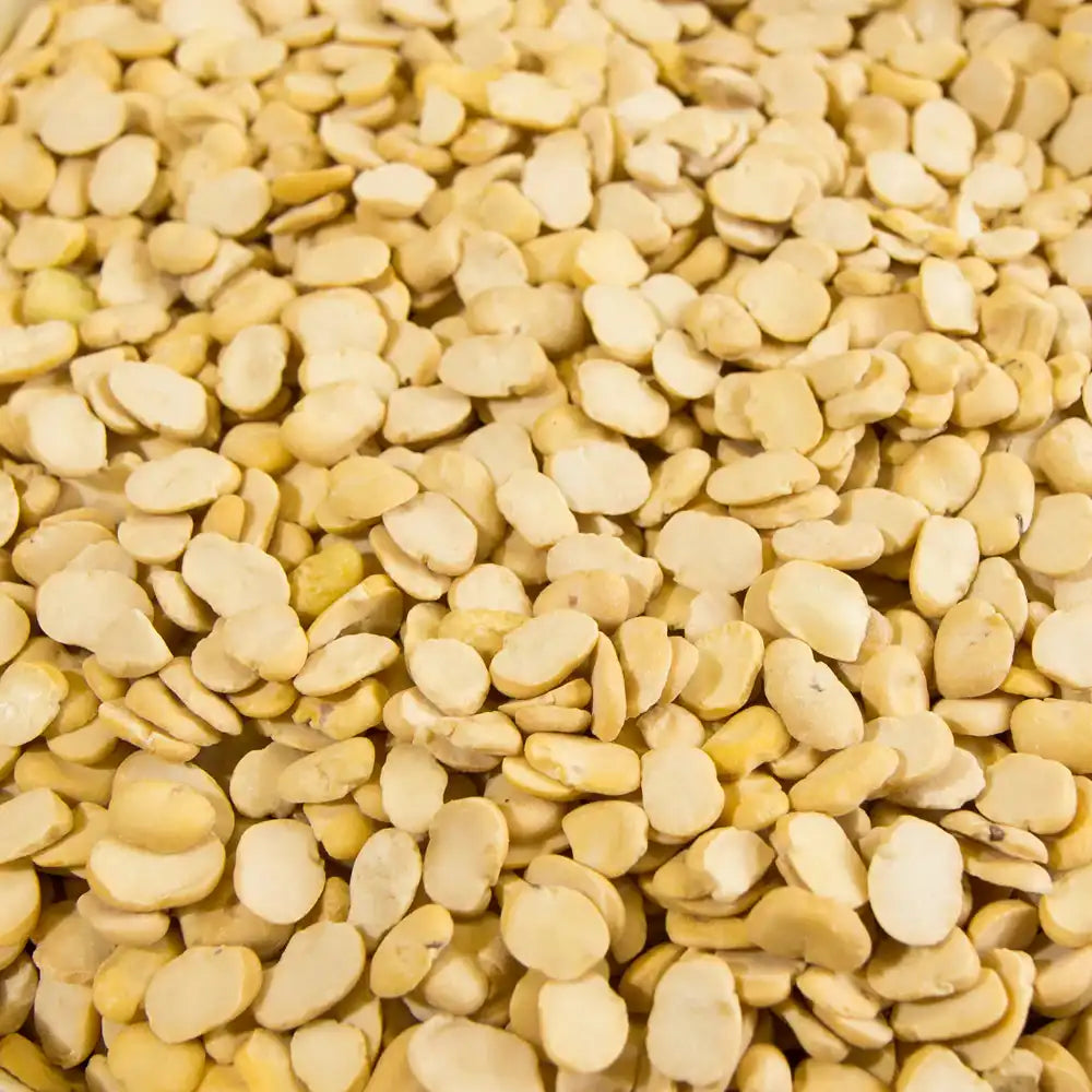 SPLIT FAVA BEANS MEDIUM 50 LBS image 0